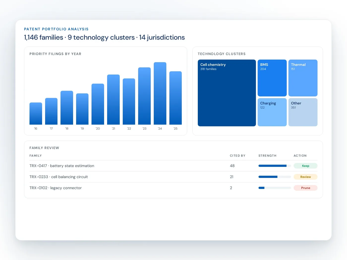 A patent portfolio dashboard with filings by year, technology clusters and a keep, review or prune view of families