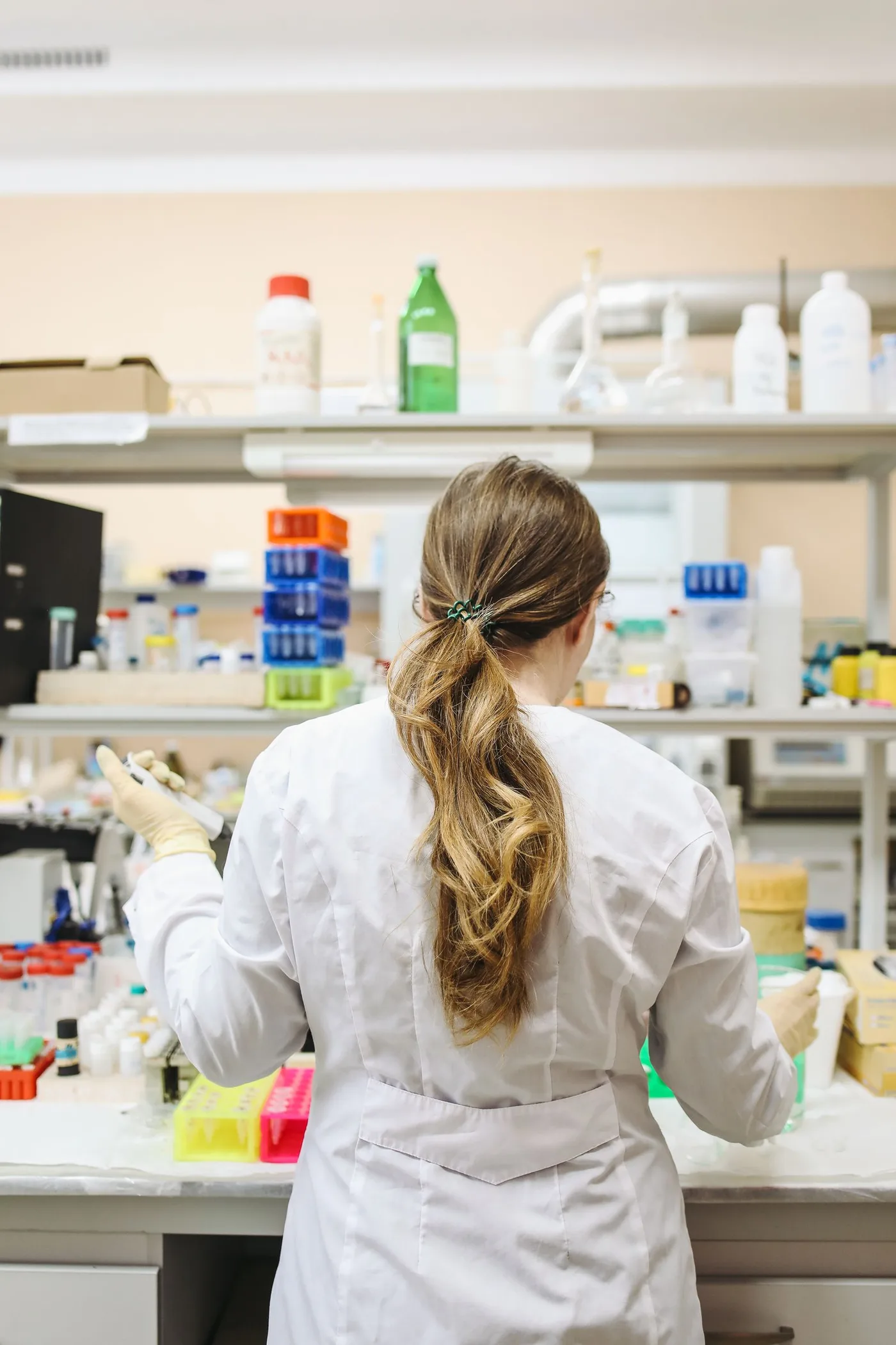 A scientist at the bench in a biology laboratory